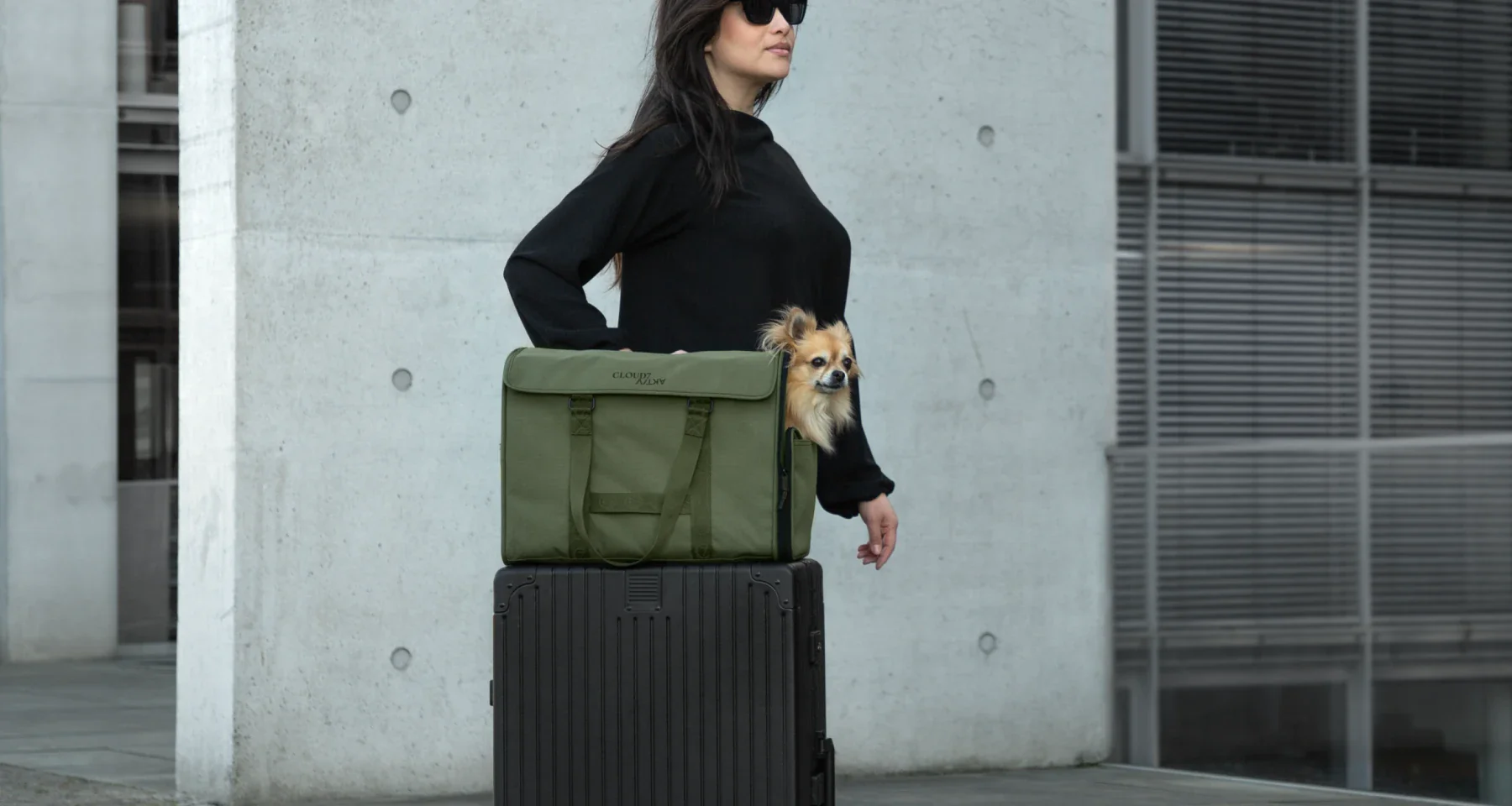 Exklusives Design für Deinen Hund